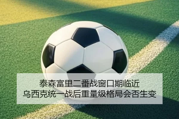 泰森富里二番战窗口期临近 乌西克统一战后重量级格局会否生变