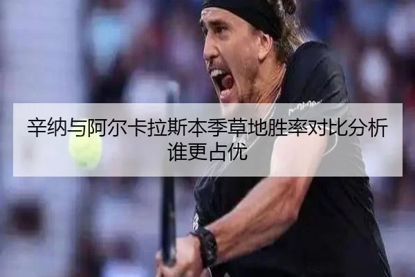 辛纳与阿尔卡拉斯本季草地胜率对比分析谁更占优